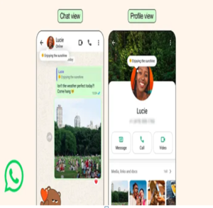 Digital marketing Consultant in Kochi, kerala